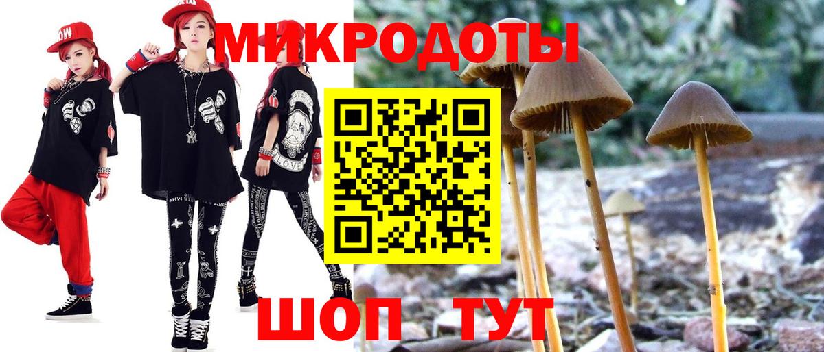 Псилоцибиновые грибы прущие грибы  Вход с VPN  Псилоцибиновые грибы мицелий  Дедовск 