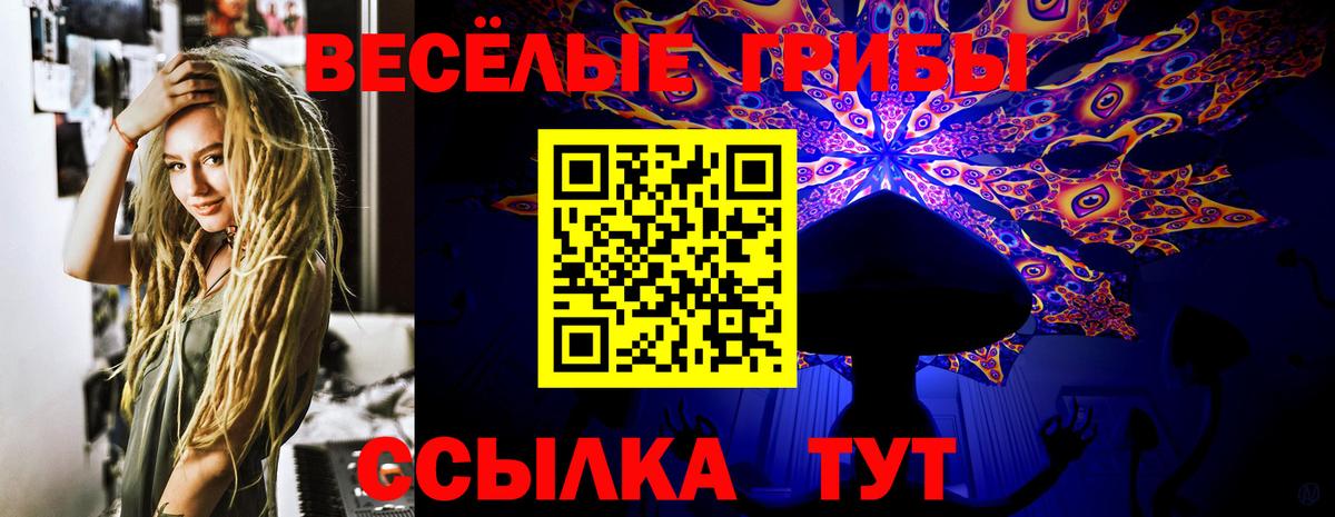 Псилоцибиновые грибы мицелий Дедовск